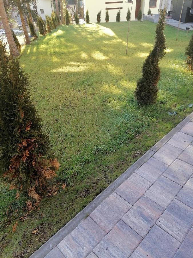 Forest Andrijana Zlatibor Exterior photo